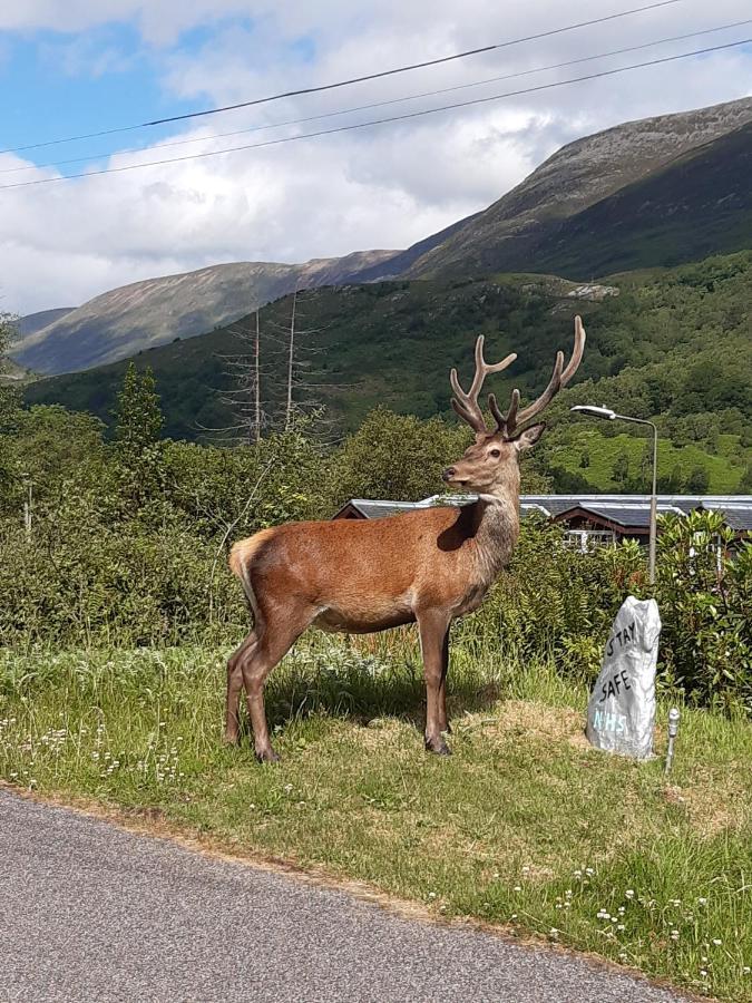 Etive Pod Lejlighed Kinlochleven Eksteriør billede