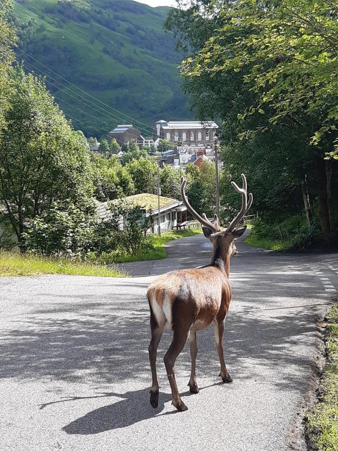 Etive Pod Lejlighed Kinlochleven Eksteriør billede